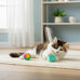 SmartyKat rainbow turquoise fuzzy friends plush catnip ball cat toys for 2 cats
