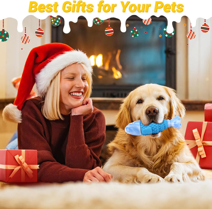 WinTour Tough Dog Toys for Aggressive Chewers, Indestructible Bacon Flavor Chew