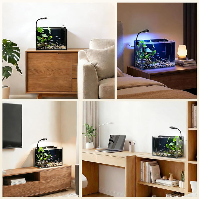 2.5 Gallon Small Fish Tank Aquarium Kit with Ultra-Clear Glass and LED Light for Desktop or Beginner Use