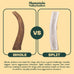 Mountain Valley Grade A Whole Large Elk Dog Antlers, 100% Natural & Organic, No Odor, No Mess, Long Lasting