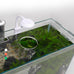3-gallon glass small fish tank starter kit with high-efficiency filter and led lights lid