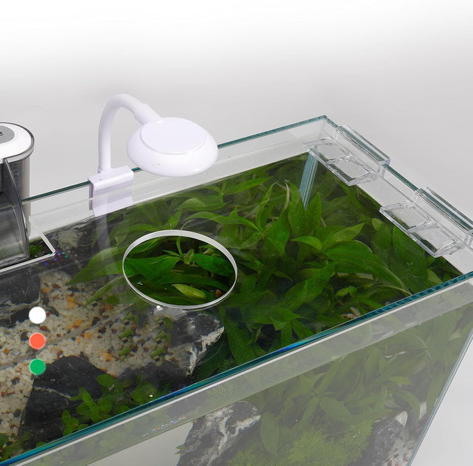3-gallon glass small fish tank starter kit with high-efficiency filter and led lights lid