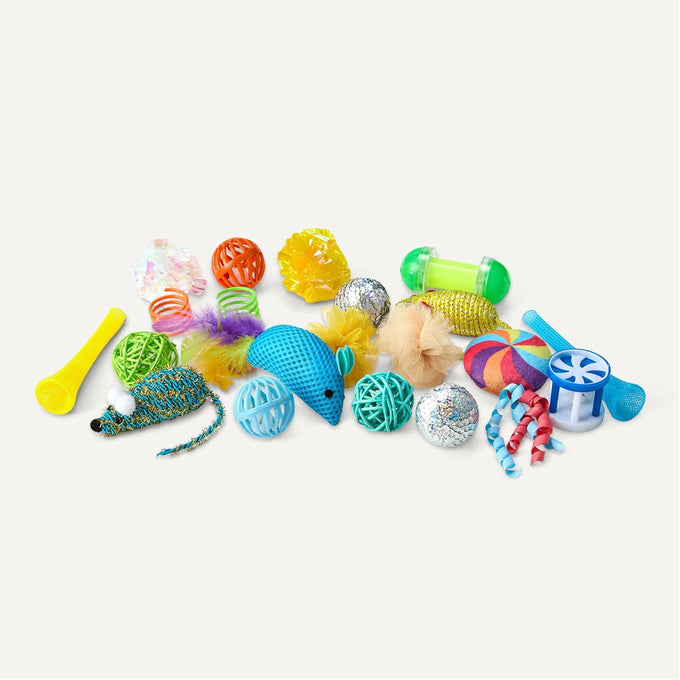 Amazon Basics 20-piece cat toy variety pack for kittens and cats, includes teaser, ball, feather, spring