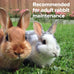 Blue Seal Field & Farm Blue 16 Complete Rabbit Feed, 50 Pound Bag, Quality Ingredients, Complete Nutrition for All Rabbit Types