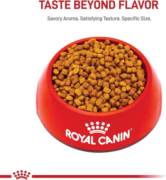Royal Canin Dachshund Puppy Dry Dog Food, 2.5 lb Bag