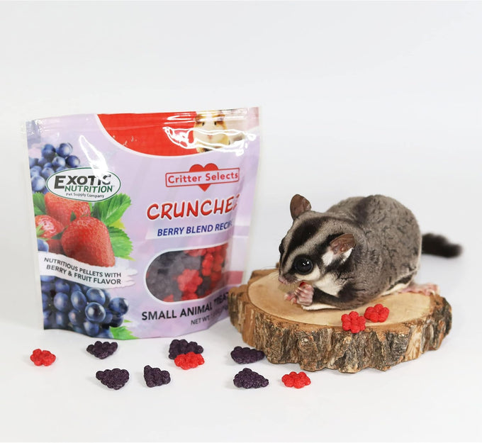 Crunchez Berry Blend 2.5oz Sugar Glider, Hamster, Chinchilla Treat Bites Crunchy Fruit Flavor