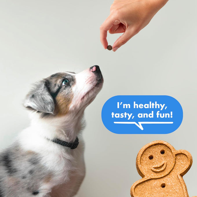 Buddy Biscuits Trainers Training Bites Soft & Chewy Dog Treats, Bacon, 10 oz Pouch