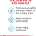 Royal Canin Feline Care Nutrition Urinary Care Adult Thin Slices in Gravy Cat Food, 3 oz (Pack of 12)