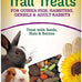 Wild Harvest Glazed Donuts Treats for Small Pets, 2.2 Ounce, Pack of 1, Healthy Chewing Instinct for Guinea Pigs, Hamsters, Gerbils, Rabbits