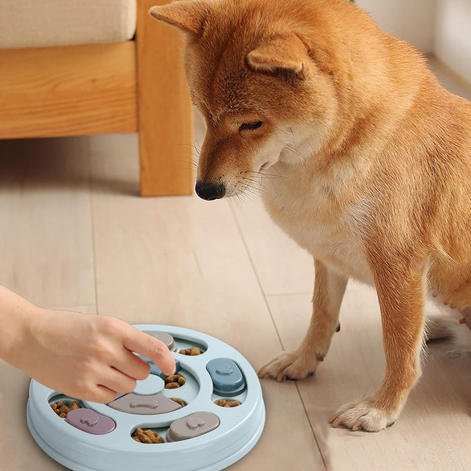DR CATCH dog puzzle for IQ training & mental enrichment, blue, L9.44" x W9.44" x H1.14"