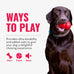 Kong natural rubber ring toy for small to medium dogs supports dental health and playtime