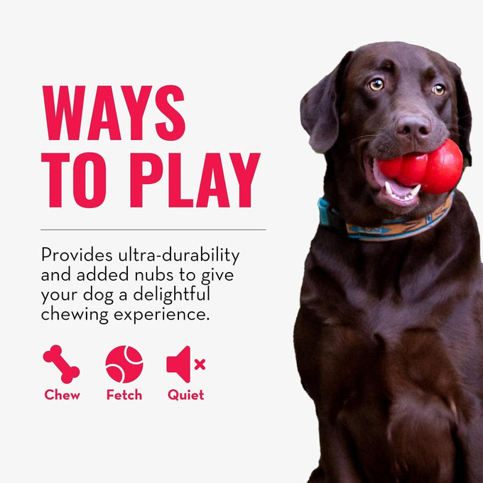 Kong natural rubber ring toy for small to medium dogs supports dental health and playtime