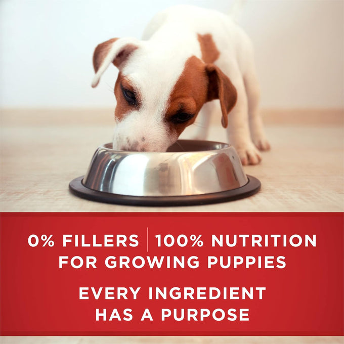 Purina ONE Wet Puppy Food Lamb & Rice Entree, 13oz Cans