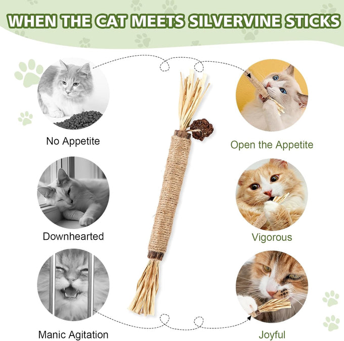 Wouseodo Natural Silvervine Sticks Cat Toy 6 Pack, Dental Care Teeth Cleaning,Matatabi Cat Nip Treat for Indoor Cats& Kittens