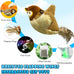 Flapping Wings Sparrow Catnip Toy, Touch Activated, Rechargeable, Chirping Bird Interactive Toy for Kittens and Small Dogs