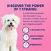 nutramax proviable probiotics for dogs and cats, 5 billion cfus, 80 capsules