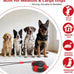 Strong suction cup dog toy for aggressive chewers, 2.68" bite resistant for medium large dogs, anxiety relief & energy release