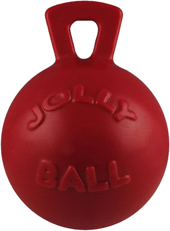 Jolly Pets Tug-n-Toss heavy duty chew ball with handle, blue, 6 inches for medium breeds