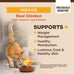 Wellness CORE+ Adult Dry Cat Food for Indoor Cats, Natural, Grain Free Kibble, Chicken, Turkey and Chicken Meal Recipe, 5 lb Bag