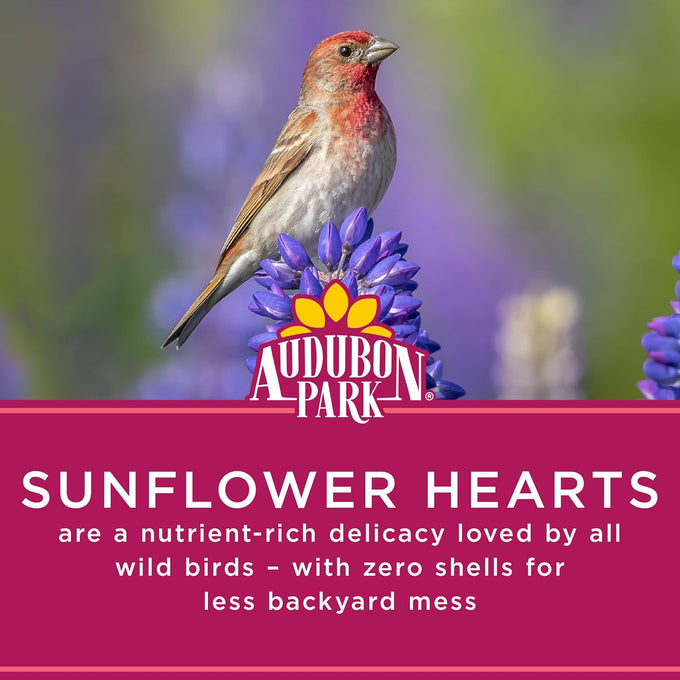 Audubon Park 100% Sunflower Kernels Wild Bird Seed, 15-lb Bag for Outside Feeders