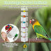 lava calcium bird beak grinding stone with bell hanging parakeet cage accessories for parrot budgies hamster