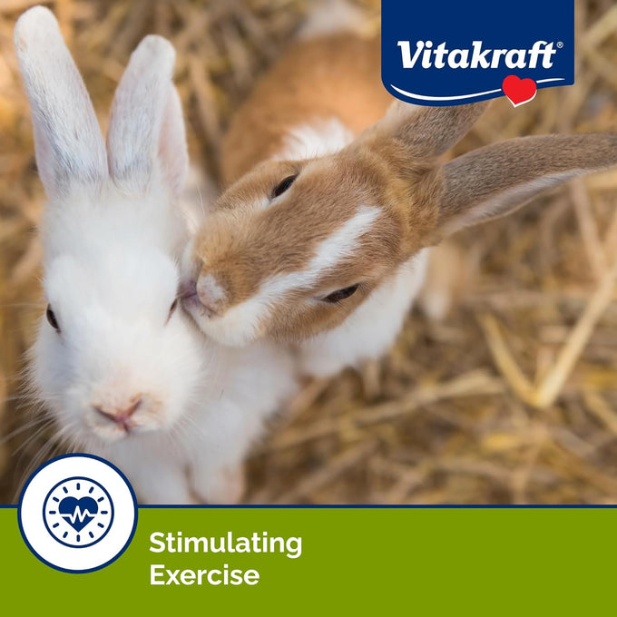 Vitakraft Crunch Sticks Rabbit Treats Wild Berry and Honey Flavor with Natural Grains and Honey