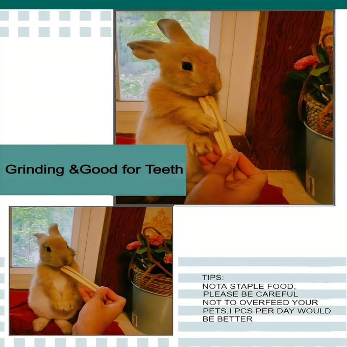 Bamboo Molar Treats for Small Animals, 300g, Natural, 100% Bamboo, Chews for Rabbits, Chinchillas, Guinea Pigs