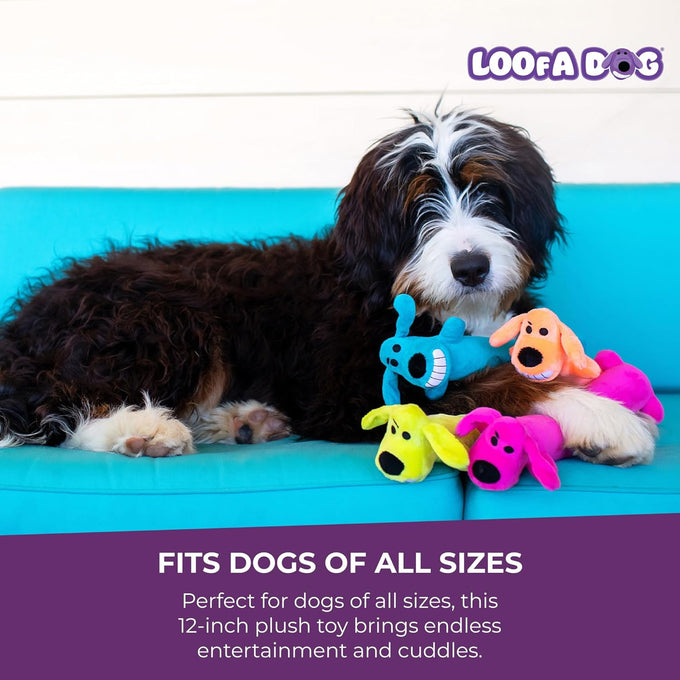 Multipet Original Loofa Dog Plush Toy, 12" extra soft plush squeaky toy for all dogs, random color surprise