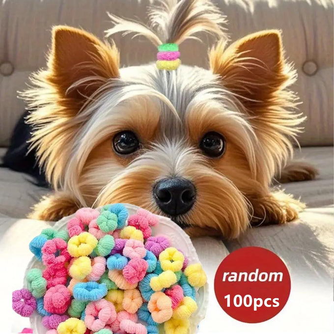 100pcs Candy Colour Small Dogs Mini Elastic Hair Rings Bands for Yorkshire Maltese Hair Grooming