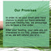 Timothy Hay 1.1LB natural green fresh food hay for rabbits tortoise guinea pig chinchilla dust free chemical free