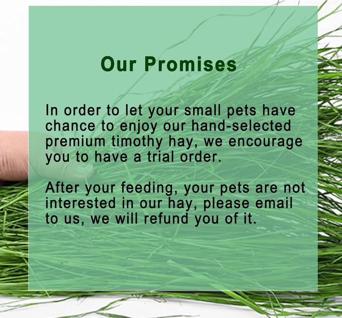 Timothy Hay 1.1LB natural green fresh food hay for rabbits tortoise guinea pig chinchilla dust free chemical free