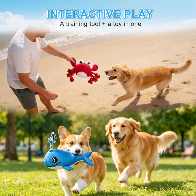 Beautyzoo floating dog water pool toys 2 pack, squeaky whale & crab design, medium/large dogs, durable summer water dog toy
