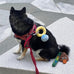 HomeSoGood Squeak Plush Toy - Durable Soft Pet Supplies Dog Toy for Dog Wedding Gift
