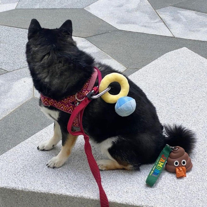 HomeSoGood Squeak Plush Toy - Durable Soft Pet Supplies Dog Toy for Dog Wedding Gift