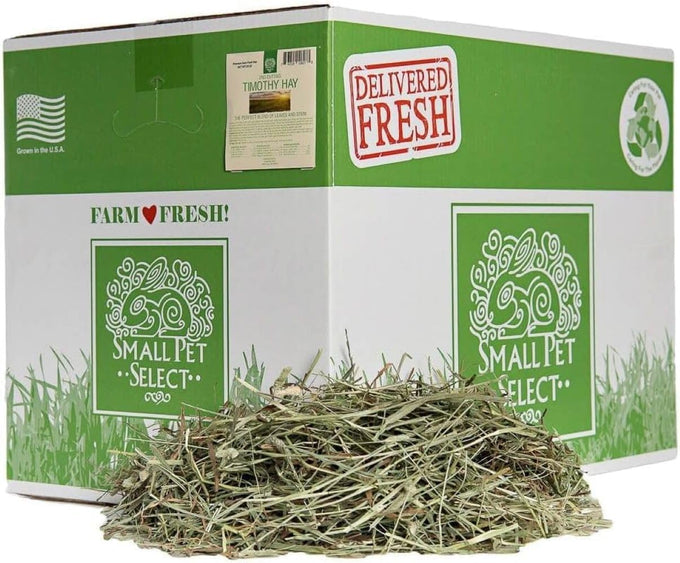 Small Pet Select 2nd Cutting Timothy Hay Pet Food for Rabbits, Guinea Pigs, Chinchillas, and Other Small Animals, 12 LB US Grown Hay