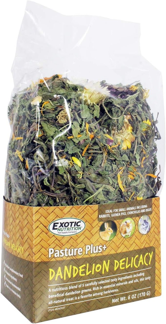 Exotic Nutrition Pasture Plus+ Dandelion Delicacy - Natural High-Fiber Dried Flower Treat for Herbivorous Small Pets