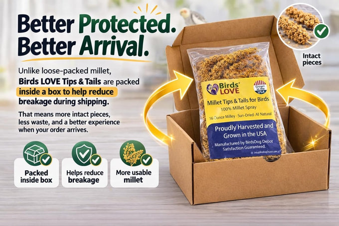 millet-tips-tails-for-parakeets-cockatiels-lovebirds-1lb-usa-grown