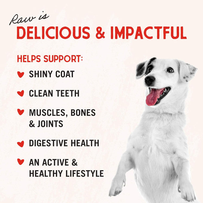 Stella & Chewy's premium freeze-dried raw beef heart dog treats, single ingredient, no additives, 3oz bag, perfect for training and picky eaters