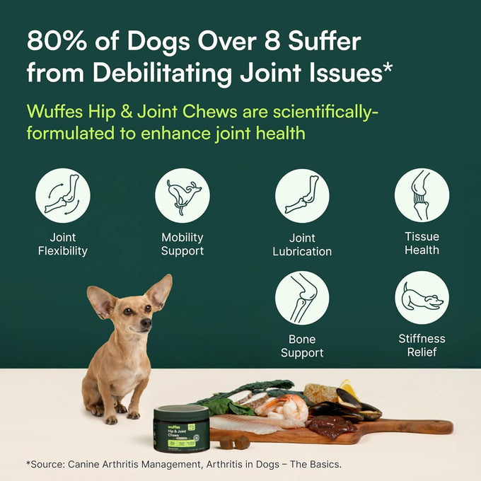 Wuffes Advanced Glucosamine Chondroitin Omega 3 MSM Green Lipped Mussel Supplement for Small Medium Dog Breeds 60 Pork Flavored Chews