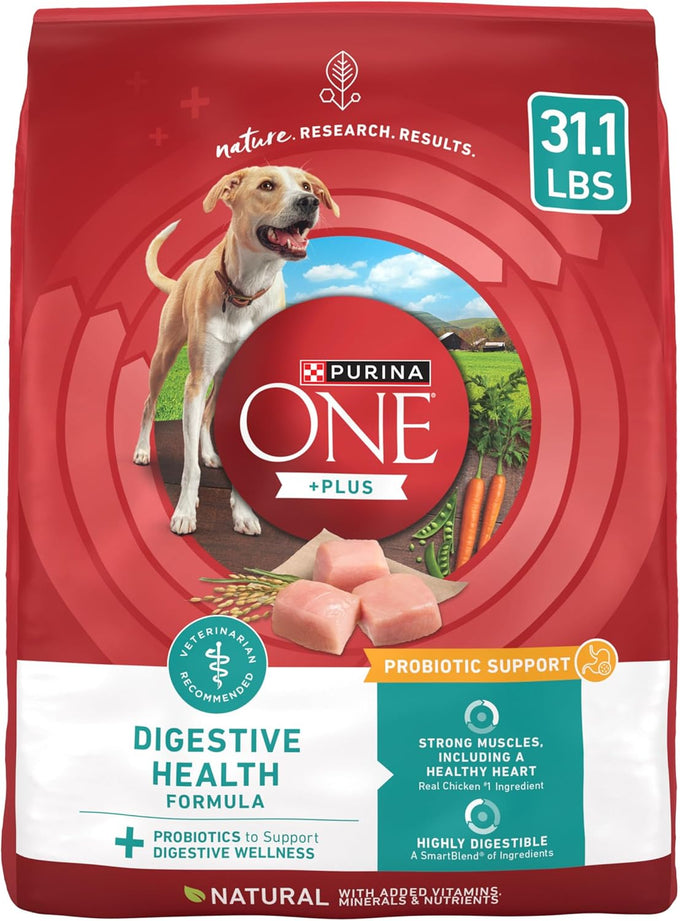 purina one plus digestive health formula 31.1 lb dry dog food natural with added vitamins