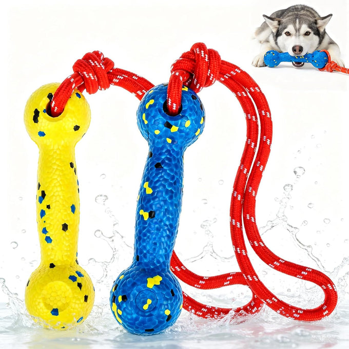 Expawlorer Floating Dog Toys 2 Pack, 7.9x2.4 inches ETPU Foam with Rope, for Water Fetch and Retrieving Games