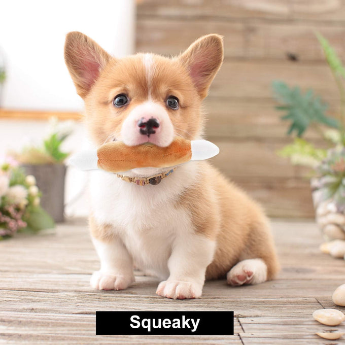 nocciola dog squeaky toys, small plush toys with squeakers, 12 pack for small medium size dogs