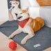 PetAmi waterproof gray dog blanket for medium large dogs, leakproof fleece throw for cats, 40x60 inches sofa couch cover protector