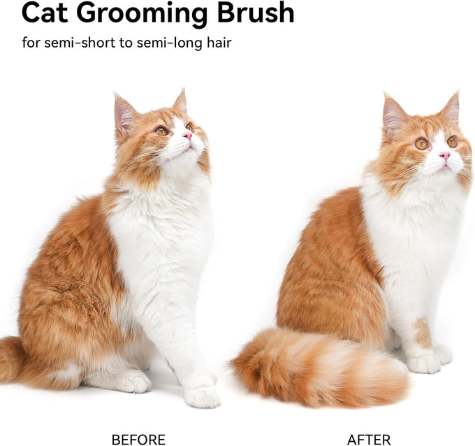 Aumuca Stainless Steel Cat Brush for Shedding, Indoor Cats, Long or Short Haired Cats, Cat Grooming, Massage, and Hair Removal