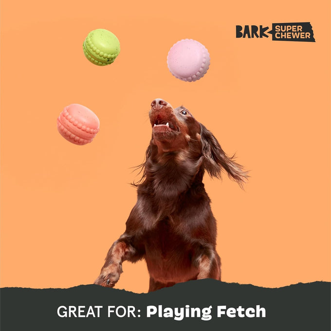 Barkbox Macaruffs plush dog toy bundle for small dogs with all-natural rubber and squeaker fun