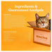 Made by Nacho Wet Cat Food in Sustainably-Caught Salmon with Bone Broth Gravy (12) 3 oz. Pouches