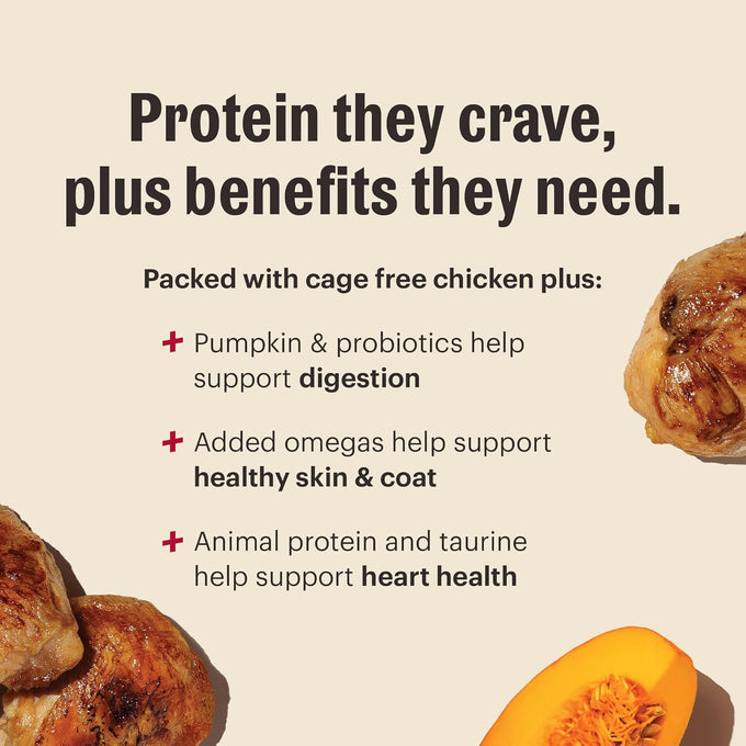 Honest Kitchen Human Grade Dog Food Protein Plus+ Clusters Grain Free Chicken Dry Dog Food 4 lb Bag