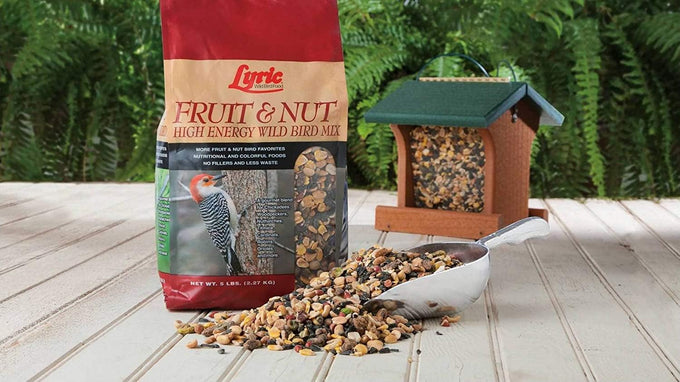 lyric fruit and nut wild bird seed mix - natural bird food for woodpeckers, chickadees, songbirds - 20 lb bag
