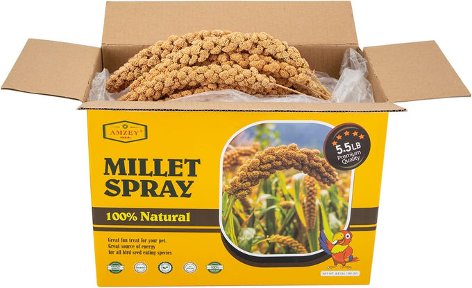 amzey 5.5lb non-gmo natural sun-dried spray millet for parakeets and parrots