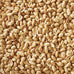 Happy Wings shelled peanuts seeds wild bird food, 5 pounds, no grow seed, bird seed for year-round feeding